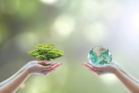 Meio ambiente e sustentabilidade in: Sustentabilidade Ambiental O Que E Seiva Jr
