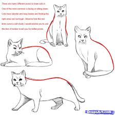Draw A Cat Realistic Cat Drawing Warrior Cat Realistic Drawings