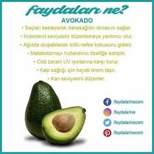 Kanser Sifa Ile Ilgili Gorsel Sonucu Saglikli Saglikli Yiyecekler Avokadolu Tarifler