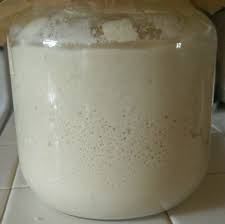 Sourdough Starter Gluten Free Gluten Free Sourdough Gluten Free Baking Gluten Free Bread