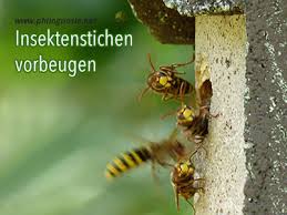 Insektenstiche Vorbeugen Gegen Bienenstiche Und Wespenstiche Philognosie