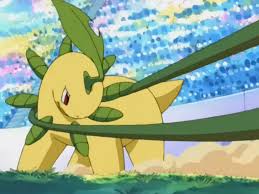 Image result for bayleef