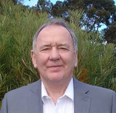 Council Elections 2020