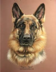 Berger Allemand Pastel Dessin Chien Peintures De Chien Berger Allemand