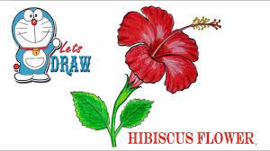 How To Draw A Hibiscus Flower Step By Step Very Easy Youtube Hibiscus Flower Drawing How To Draw A Hibiscus Flower Flower Drawing