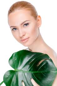 Vue de face Free Stock Photos, Images, and Pictures of Vue de face