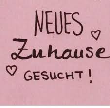 Schon damals im naturwissenschaftlichen studium hatte ich immer ein lieblingsphänomen, das ich sicher nie vergessen werde: Wir Suchen Ein Zuhause In Niedersachsen Soltau Ebay Kleinanzeigen