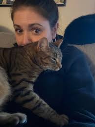 Adopting a female brown tabby cat in Maryland