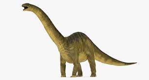Apatosaurus was a huge harmless dinosaur, a sauropod. Apatosaurus Dinosaurier 3d Modell 149 Max Obj Ma Fbx C4d 3ds Free3d
