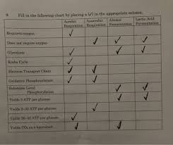 Solved Where In A Eukaryotic Cell Do The Following Proces