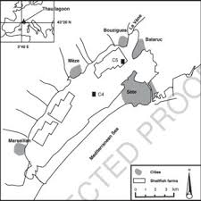 Pdf Migration De L Iode Et De L Uranium A Travers Les Interfaces Naturelles D Oxydoreduction Cinetique Experimentale Et Modelisation Du Transport Reactif Dans Les Sediments Aquatiques