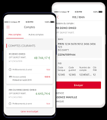 Retirer de l'argent comptant au guichet rbc banque royale. Banque En Ligne Rhone Alpes Particuliers Caisse D Epargne
