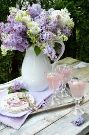8 Tips For Caring And Growing Beautiful Lilac Bushes Lilac Bushes Lilac Lilac Plant