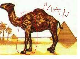 Just take our short survey. Camel Cigarette Packs Easter Egg Naked Man In Camel Manneken Pis And Lion Flemish Belgium Symbol