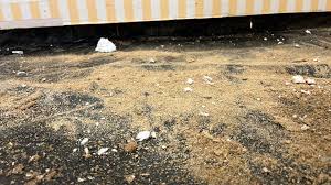 Image result for site:byggahus.se fuktrisk