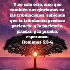  Spanish Bible Verses