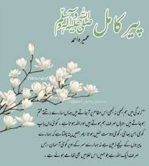 Peer E Kaamil In 2020 Quotes From Novels Beautiful Islamic Quotes Good Thoughts