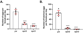 The Gator Complex Regulates An Essential Response To Meiotic