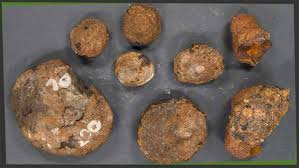 Ihre funktion haben seit juli 2002 die skontroführer übernommen. Codycross Antworten Alle Bis Gruppe 40 Wort Suchen De