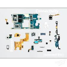 Image result for Bussea