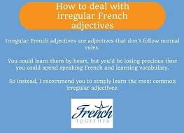 One who is impelled to act. The Beginner S Guide To French Adjectives French Together