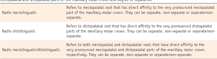 There is a large cervical resorptive defect on the buccal aspect of the distal root extending into the furcation. Table 4 From Radix Mesiolingualis And Radix Distolingualis A Case Report Of A Tooth With An Unusual Morphology Semantic Scholar