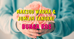 Ros tiada bunga lain yang dapat menandingi kemasyurannya sebagai bunga pemberian yang paling diminati. Maksud Di Sebalik Warna Dan Jumlah Tangkai Bunga Ros