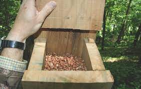 How to build a squirrel feeder redneck workshop. Squirrel Shooting With An Air Rifle Some Tips For The Summer