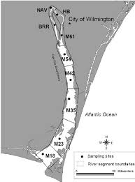 salinity data collection stations and river segments of cape