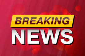 Toddler dies after being hit by delivery vehicle in chelsea. Bing News Quiz Bing News Quiz Of The Week Popular Now On Bing Homepage