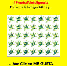 Estimulacion cognitiva aprendizaje acertijos con respuesta agudeza visual ejercicios de memoria juegos de logica gimnasia cerebral actividades cognitivas juegos mentales encuentra el que no se repite entrenamiento cerebral, unidad de memoria, estimulación cognitiva, taller de memoria, alzheimer, daño cerebral, ictus, memoria en alcorcón Lo Nuevo En Tu Gimnasia Cerebral Juegos Mentales Acertijos Acertijos Mentales