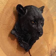 Image result for Panther Black 2001 Puma