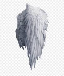 Hair png is the most demanded image form picsart photo editors, we have already given the picsart premium apk to enable all features and now time for editing equipment. Find Hd White Angel Wings Png Png Download Transparent Png To Search And Download More Free Transparent Png Image Wings Png Angel Wings Art Angel Wings Png