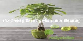 We did not find results for: 49 Money Tree Symbolism Meaning