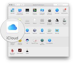 Select app ids and hit continue. How To Delete Your Apple Id Imore