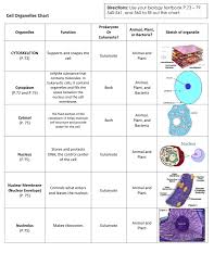 Cell Organelles