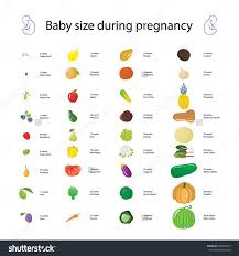 pin by brittany graham on kiddos baby size by week baby