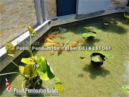 19 Gambar Kolam Ikan Koi Pusat Pembuatan Kolam Di 2020 Kolam Ikan Kolam Taman Jepang