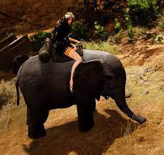 Black Desert Miniature Elephant Mount Guide Mmo Guides Walkthroughs And News