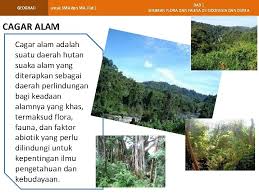 Flora dan fauna di bagian barat disebut juga flora fauna dangkalan sunda. Geografi Untuk Sma Dan Ma Jilid 1 Ba