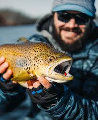 Cape Cod Fishing Report- December 28, 2023