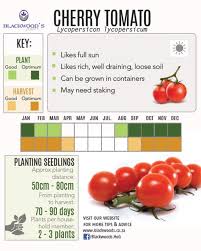 blackwoods co za download your vegetable planting charts