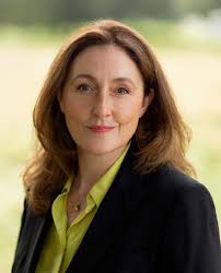 THE ACCOUNTANCY PROFESSION IN THE UK AND IRELAND