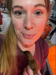 Welcome new members, share geese and ornamental bird knowledge