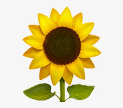 Maybe you would like to learn more about one of these? Iphone Transparent Sunflower Emoji Novocom Top