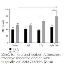 The delray beach tournament, which debuted rafael nadal advanced to the semifinals at the atp finals for the first time in five years and knocked. Luminescent Atp Detection Assay Kit Ab113849 Abcam