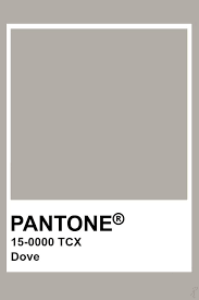 Pin By Living The Imagined Life On Gray Pantone Colour Palettes Pantone Palette Pantone Color