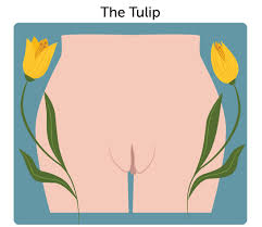 Researchers Asked Men To Choose Their Favorite Vulva Shape | by Carlyn  Beccia | Sexography | Medium