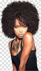 Lace Wig Artificial Hair Integrations Afro Hairstyle Hair Transparent Background Png Clipart Afro Hairstyles Black Hair Long Hair Black Hair Wigs
