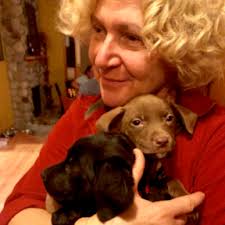 Book a Trusted In-Home Pet Sitter in Burien, WA